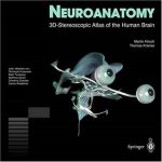 NEUROANATOMY : 3D-Stereoscopic Atlas Of The Human Brain