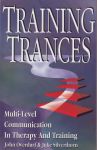 TRAINING TRANCES : Multi-Level Communication In Therapy & Training